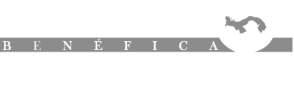 Fundación Deveaux